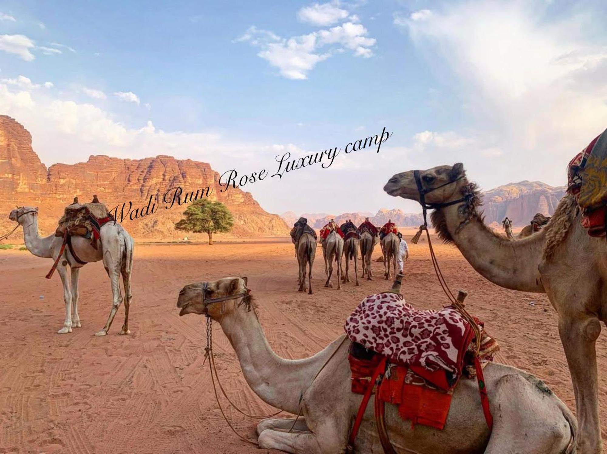 Wadi Rum Rose Luxury Camp Exterior foto
